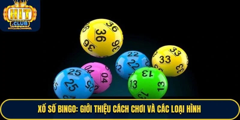 Xổ Số Bingo